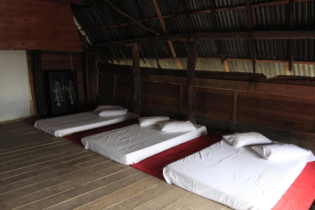 Sony Cottage Samosir Island Esterno foto